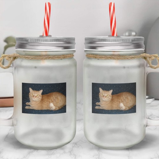 Relaxed Orange Tabby Cat Illustration Mason Jar Cups
