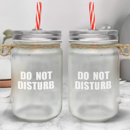 Do Not Disturb - Airplane Airport Train Subway Mason Jar Cups