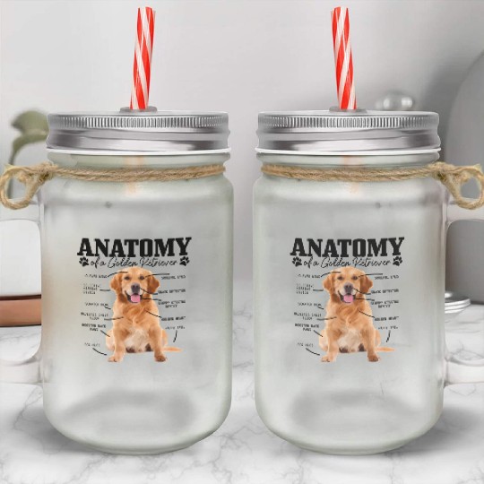 Anatomy Of A Golden Retriever Dog Mom Dad Mason Jar Cups