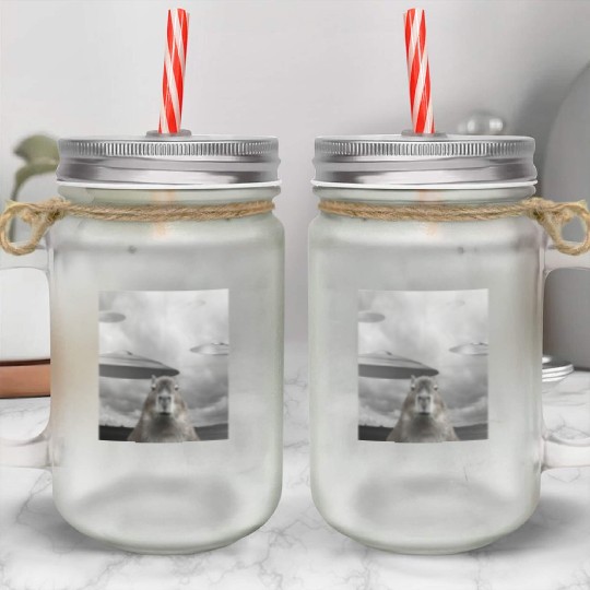 Funny Graphic Capybara Selfie with UFOs Weird Mason Jar Cups