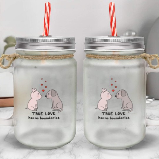 True Love has No Boundaries Mason Jar Cups
