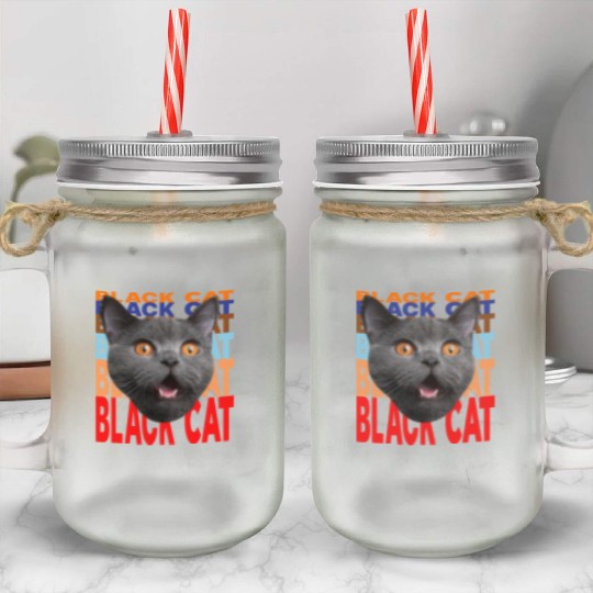 Black Cat Angry Look Mason Jar Cups