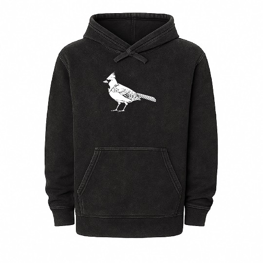 Cardinal Mineral Wash Hoodies