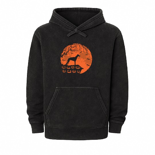 Whippet dog And Moon Halloween Funny Dog Lover Mineral Wash Hoodies