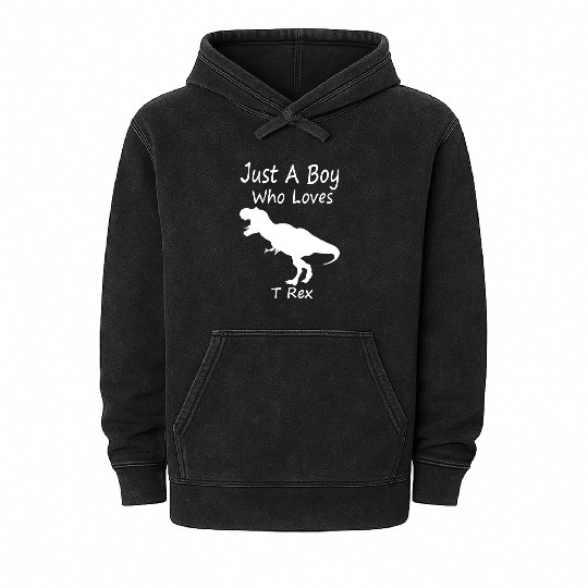 Cool Silhouette Just a Boy Who Loves T rex Mineral Wash Hoodies
