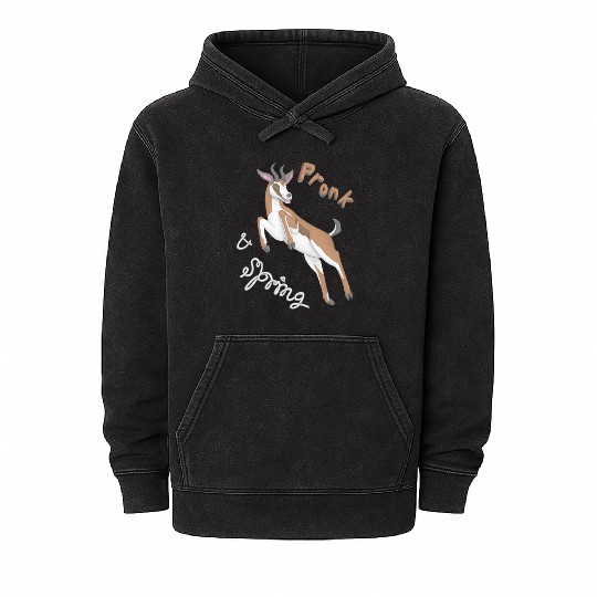 Pronk and Spring Springbok Mineral Wash Hoodies