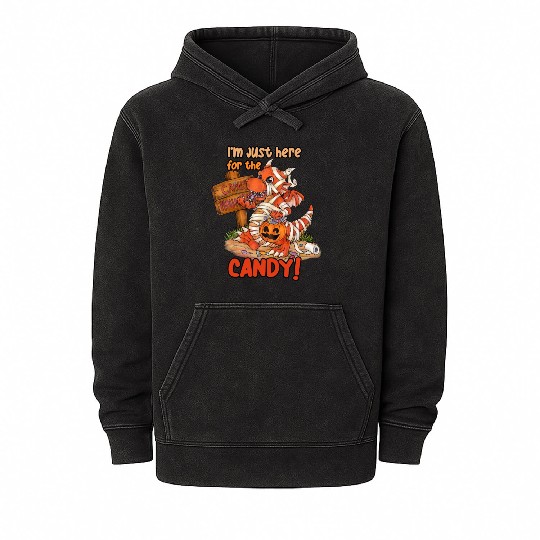 I'm Just Here For Candy Halloween Dragon Mummy Mineral Wash Hoodies