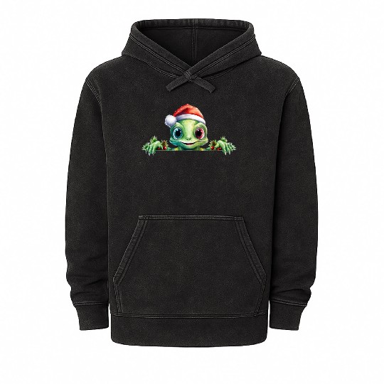 Winter Frog in a Santa Hat Mineral Wash Hoodies