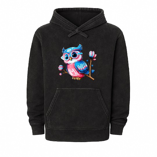 Red White and Blue Owl Mineral Wash Hoodies