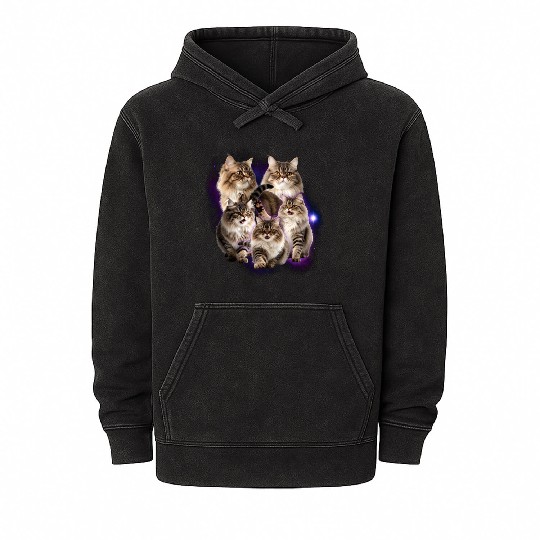 Persian Cat Pet Animals Lover Design Mineral Wash Hoodies