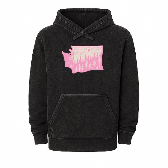 Washington DC Wild Outline State Mineral Wash Hoodies