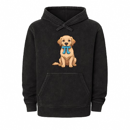 Pi Day Dog With Pi Symbol Math Nerd Mineral Wash Hoodies