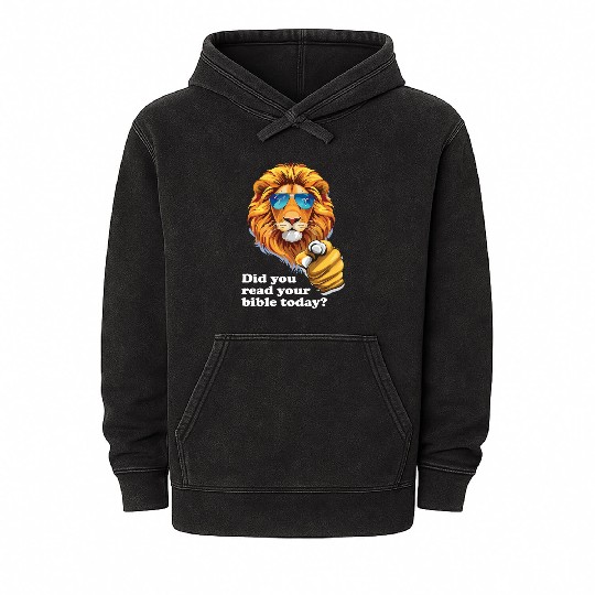 Did You Read Your Bible Today - Christian Mineral Wash Hoodies
