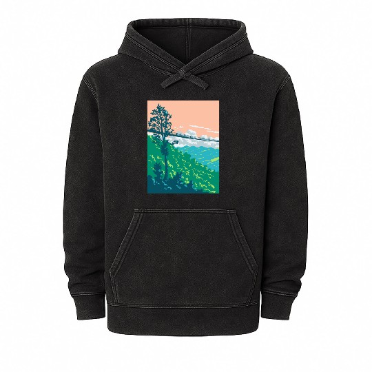 Great Smoky Mountains National Park Gatlinburg WPA Mineral Wash Hoodies