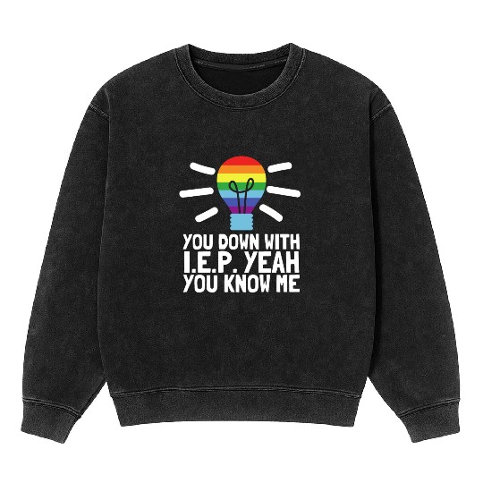 Inclusion SPED Special Education Teacher Mineral Wash Sweatshirts