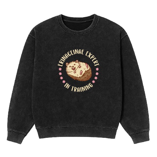 Hedgehog Mineral Wash Sweatshirts