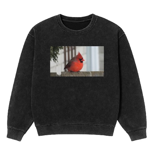 Brilliant Cardinal Bird 2 Mineral Wash Sweatshirts