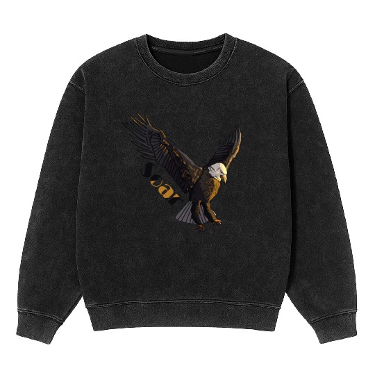 Inspiring Eagle Artistic Graphic Mineral Wash Sweatshirts