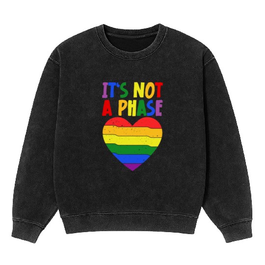 LGBTQIA+ Rainbow Flag Gay Pride It's Not A Phase Mineral Wash Sweatshirts
