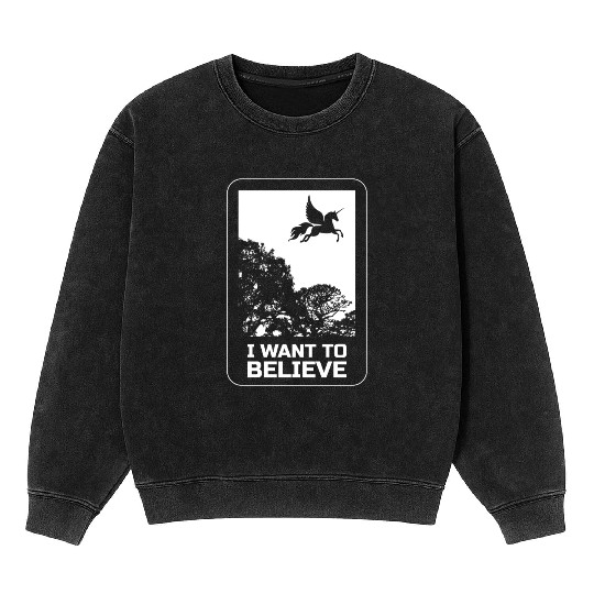Unicorn "I Want To Believe" UAP Outfit Alien Ufo Mineral Wash Sweatshirts