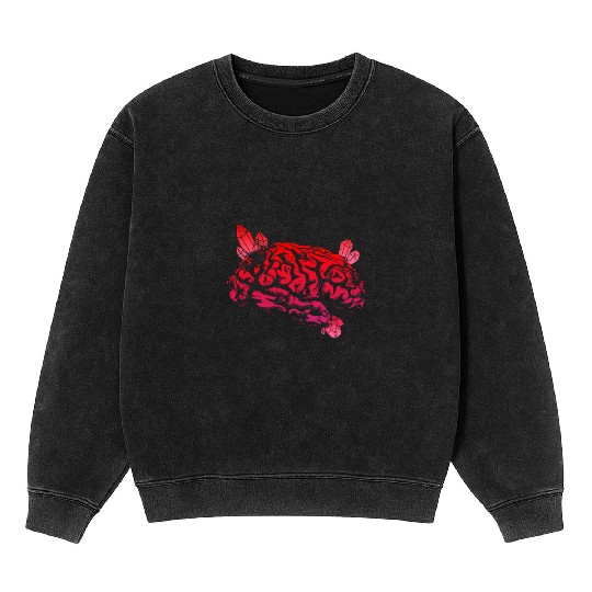 Brain with Crystal - Red Mineral Wash Sweatshirts