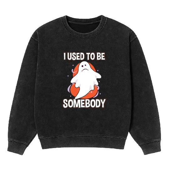 I Used To Be Somebody Sad Ghost Mineral Wash Sweatshirts