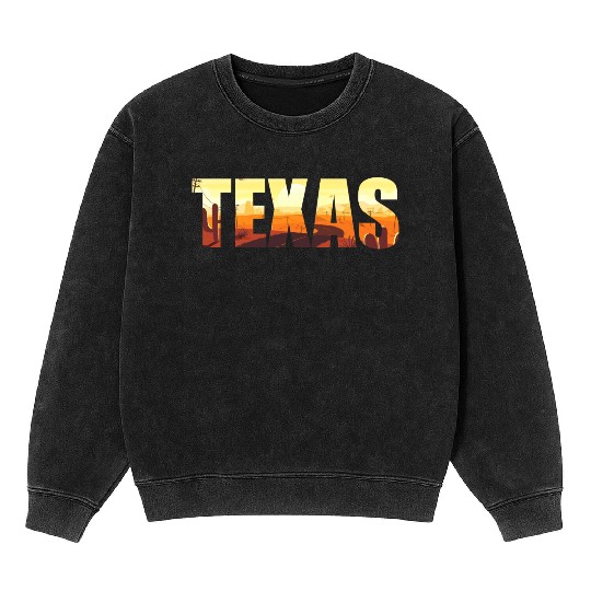 Texas city USA gift Houston America Mineral Wash Sweatshirts