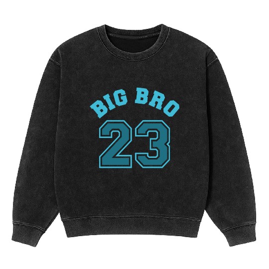 Big Bro 2023 Big Brother Baby Pregnancy Birth Boy Mineral Wash Sweatshirts