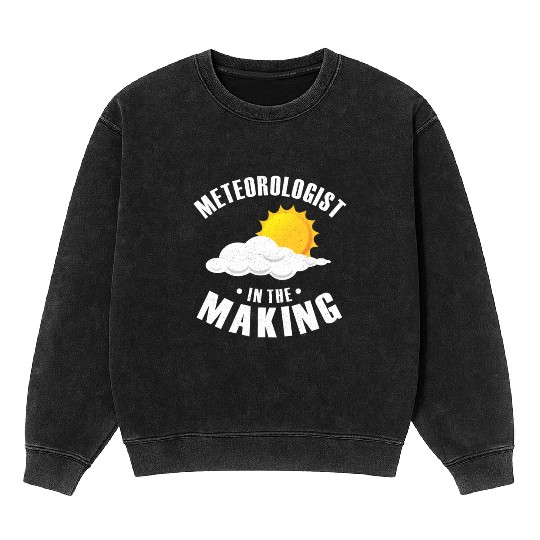 Meteorologist In The Making Meteorology Storm Mineral Wash Sweatshirts