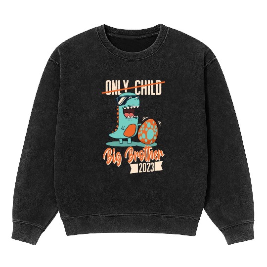 Only Child Dinosaur Baby Egg 2023 Big Brother Mineral Wash Sweatshirts