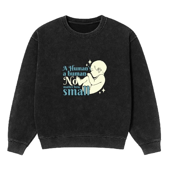Anti Abortion Pro Life Conservative Gift Idea Mineral Wash Sweatshirts