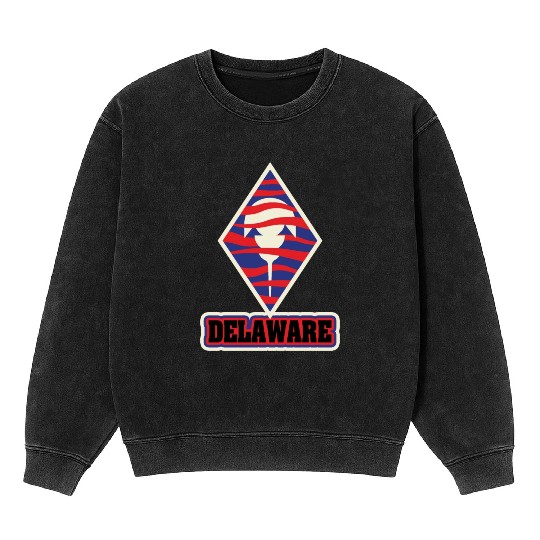 US States DELAWARE Mineral Wash Sweatshirts