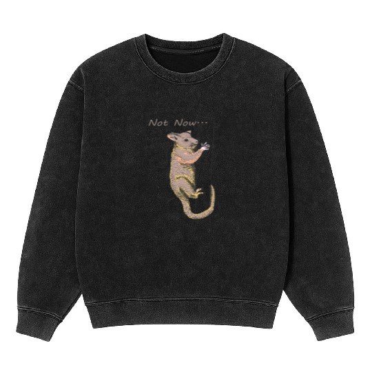 Funny Opossum, Opossum Not Now Mineral Wash Sweatshirts
