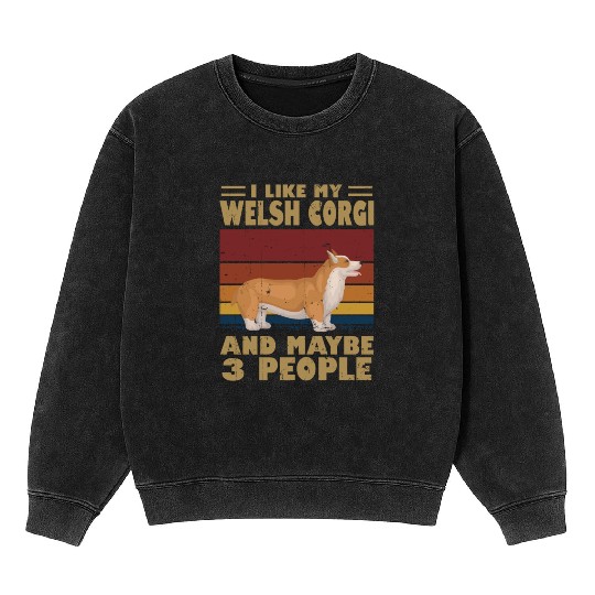 I Like My Schnauzer And Maybe 3 People Mineral Wash Sweatshirts