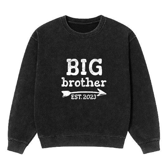 Promoted to Big Bro 2023 Leveled Up To Big Brother Mineral Wash Sweatshirts
