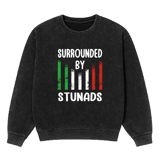 Surrounded By Stunads Italian Pride Italy Flag Mineral Wash Sweatshirts