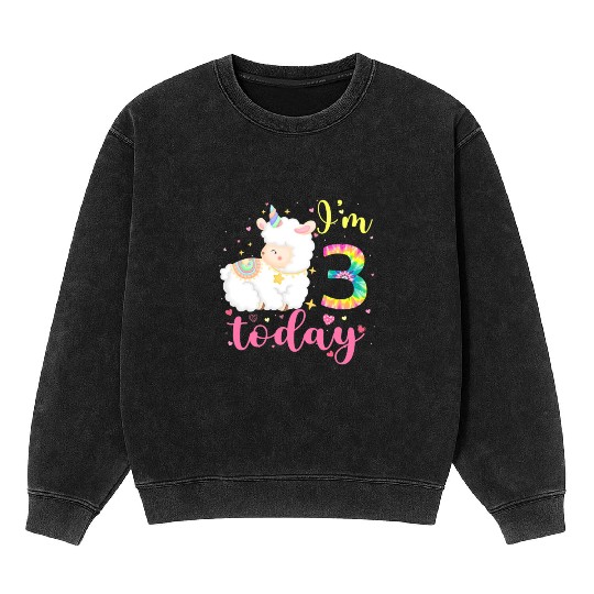 3 Year Old Llama Birthday Party 3rd Animal Mineral Wash Sweatshirts