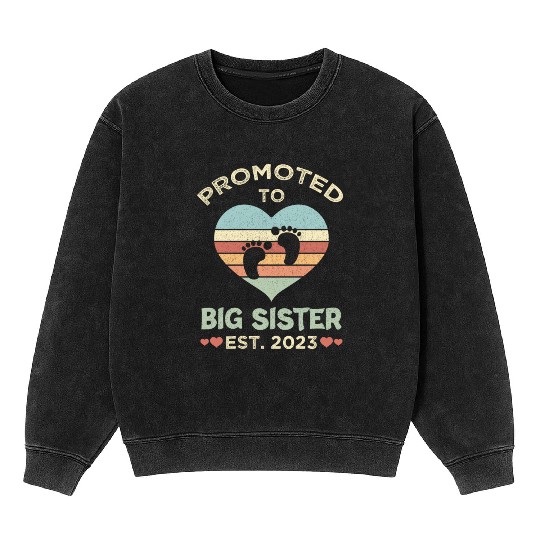 Promoted To Big Sister Est 2023 New Sister Announ Mineral Wash Sweatshirts