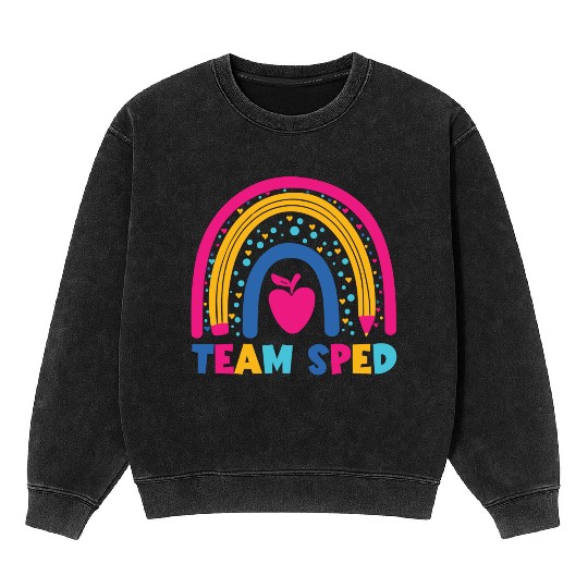 Special Education Teacher Paraprofessional Back To Mineral Wash Sweatshirts