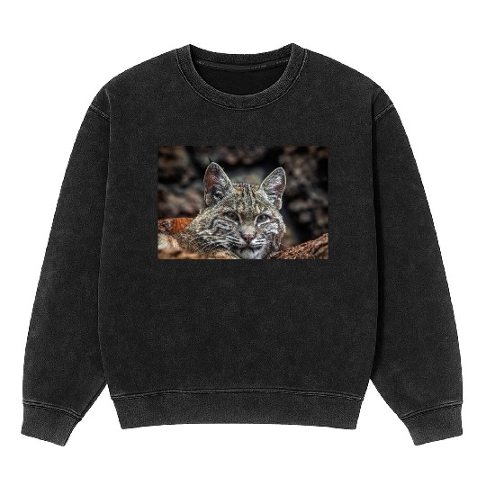 Baby Bobcat, Cat, Stickers, Mineral Wash Sweatshirts
