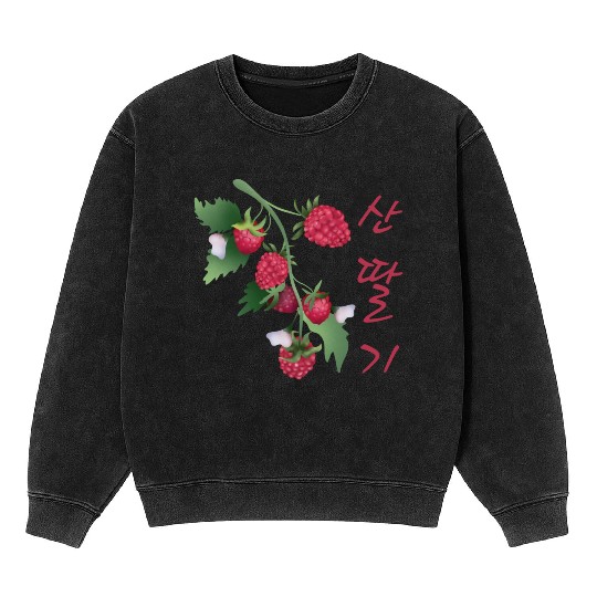 Korean Raspberry Mineral Wash Sweatshirts