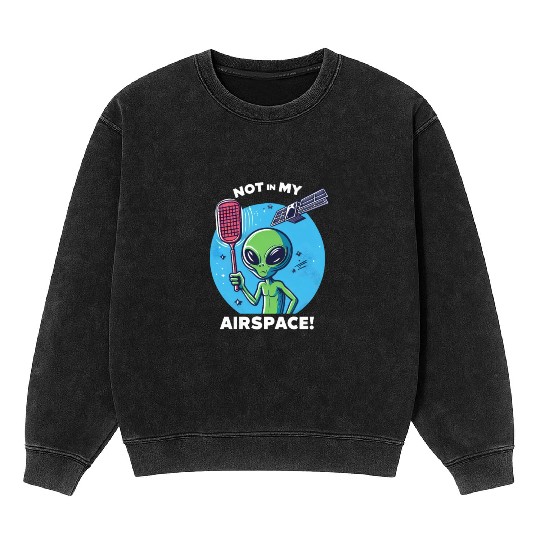 Alien data protection: "Not in my airspace!" Mineral Wash Sweatshirts