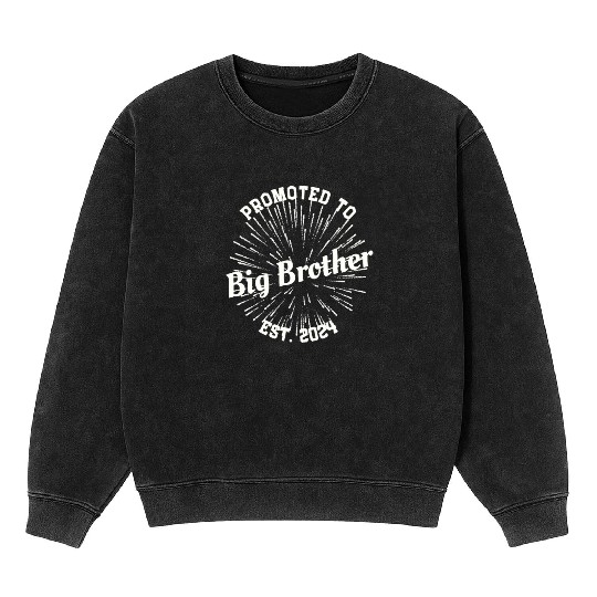 Promoted to Big Brother Baby Announcement New-born Mineral Wash Sweatshirts