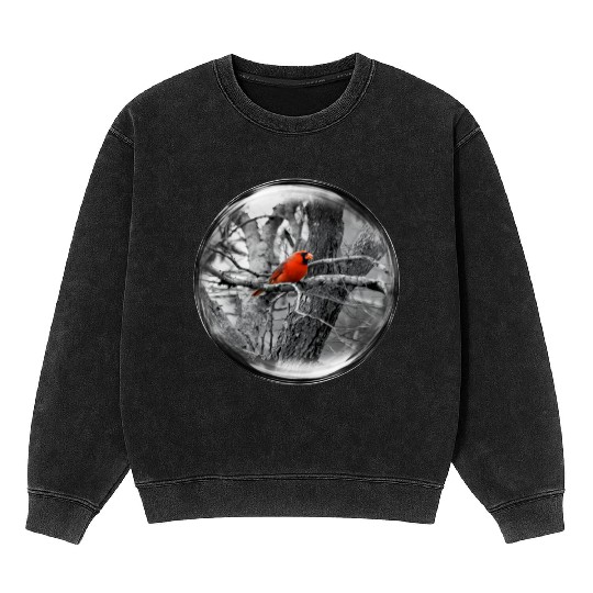 Life in a Bubble Collection -Contrasting Cardinal Mineral Wash Sweatshirts