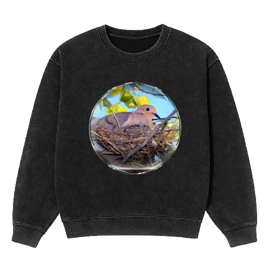 Life in a Bubble Collection - Nesting Under Glass Mineral Wash Sweatshirts