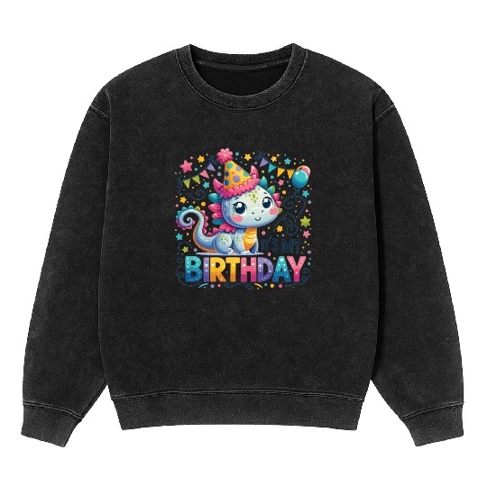 Its My Birthday Sweet Birthday Dragon Mineral Wash Sweatshirts