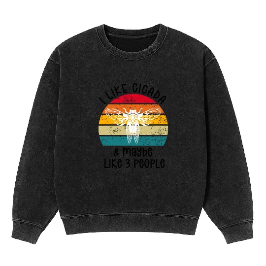 I Like Cicada & Maybe Like 3 People, Retro Sunset Mineral Wash Sweatshirts