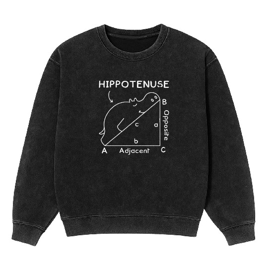Math Teacher Joke Geometry Hypotenuse Hippotenuse Mineral Wash Sweatshirts