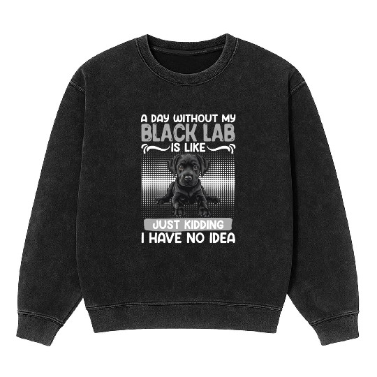 Black Labrador A DAY WITHOUT MY BLACK LAB Mineral Wash Sweatshirts