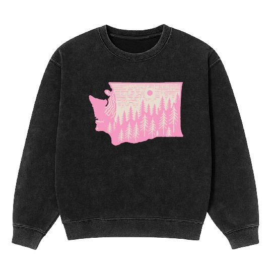 Washington DC Wild Outline State Mineral Wash Sweatshirts